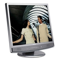 Asus 17  LCD Display (MB17SE)